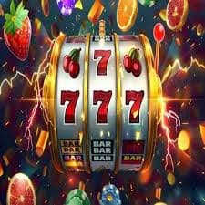 ceo733